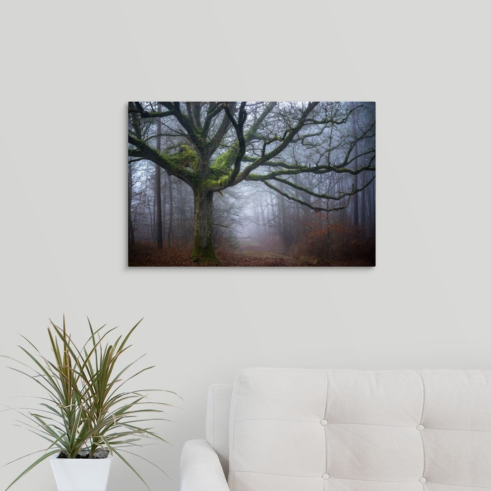 "Old oak tree" Wrapped Canvas Art Print, 24"x16"x1.5"