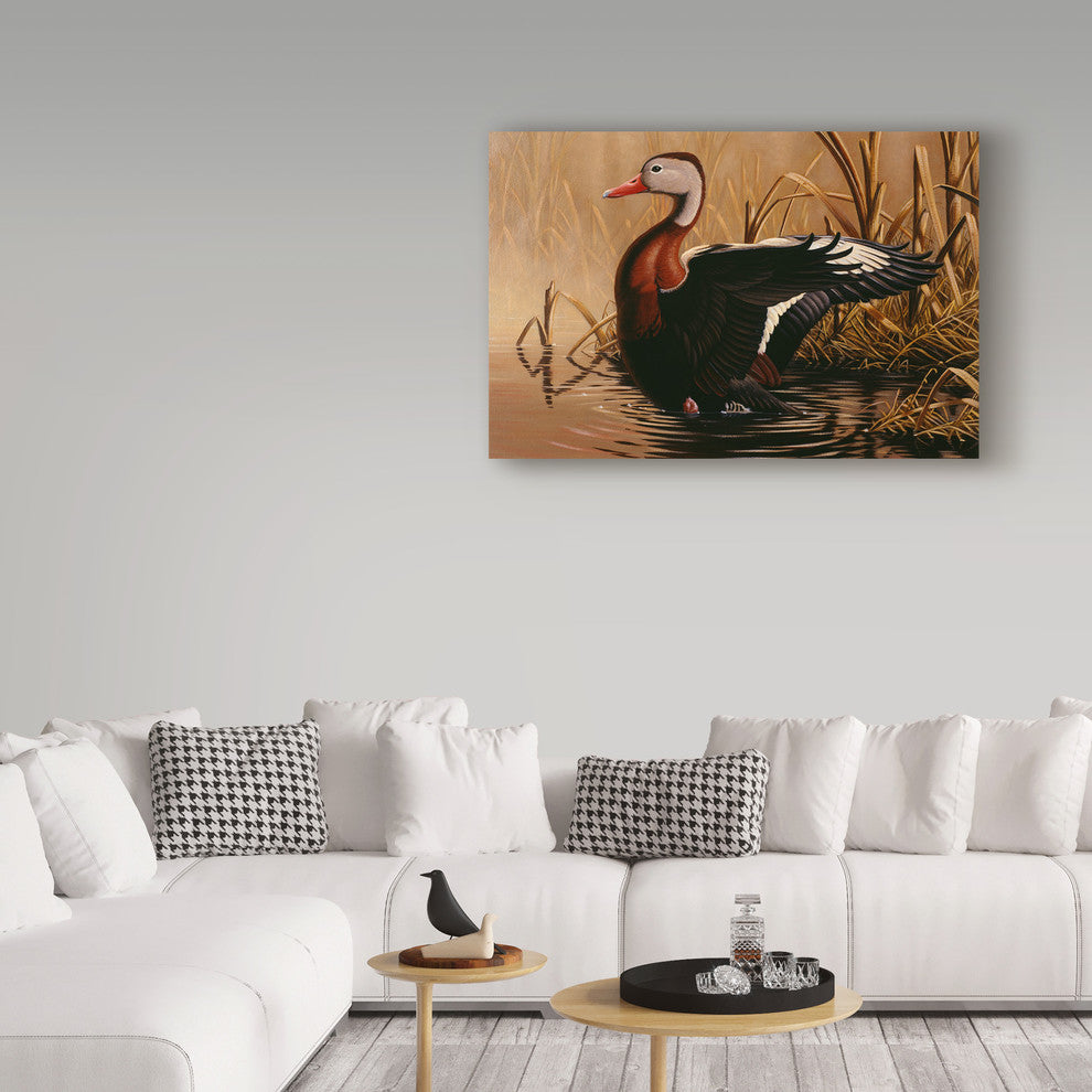 Wilhelm Goebel '1988 Black Bellied Duck' Canvas Art, 19"x12"