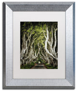 Philippe Sainte-Laudy 'Romantic Avenue' Art, Silver Frame, 11"x14", White Matte