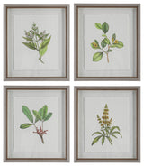 Uttermost Wildflower Study Plastic Paper Prints in Brown/Green/White (Set of 4)