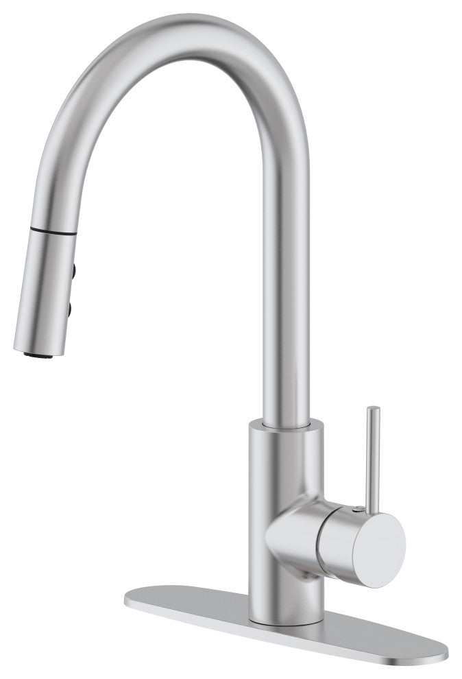 Kitchen Faucet Pull Down Dual Spray Hand Shower, Stainless Steel
