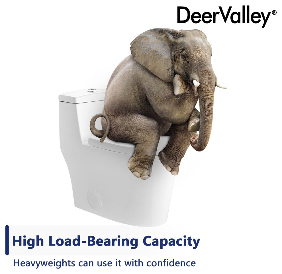 Dual Flush Elongated One Piece Toilet With Glazed Surface, Seat Included