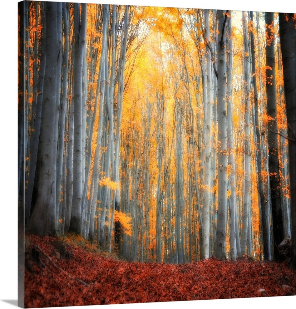 "Here Comes the Sun" Wrapped Canvas Art Print, 35"x35"x1.5"
