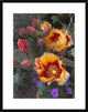 "Opuntia in bloom, North America" Framed Print by Tim Fitzharris, 26"x32"