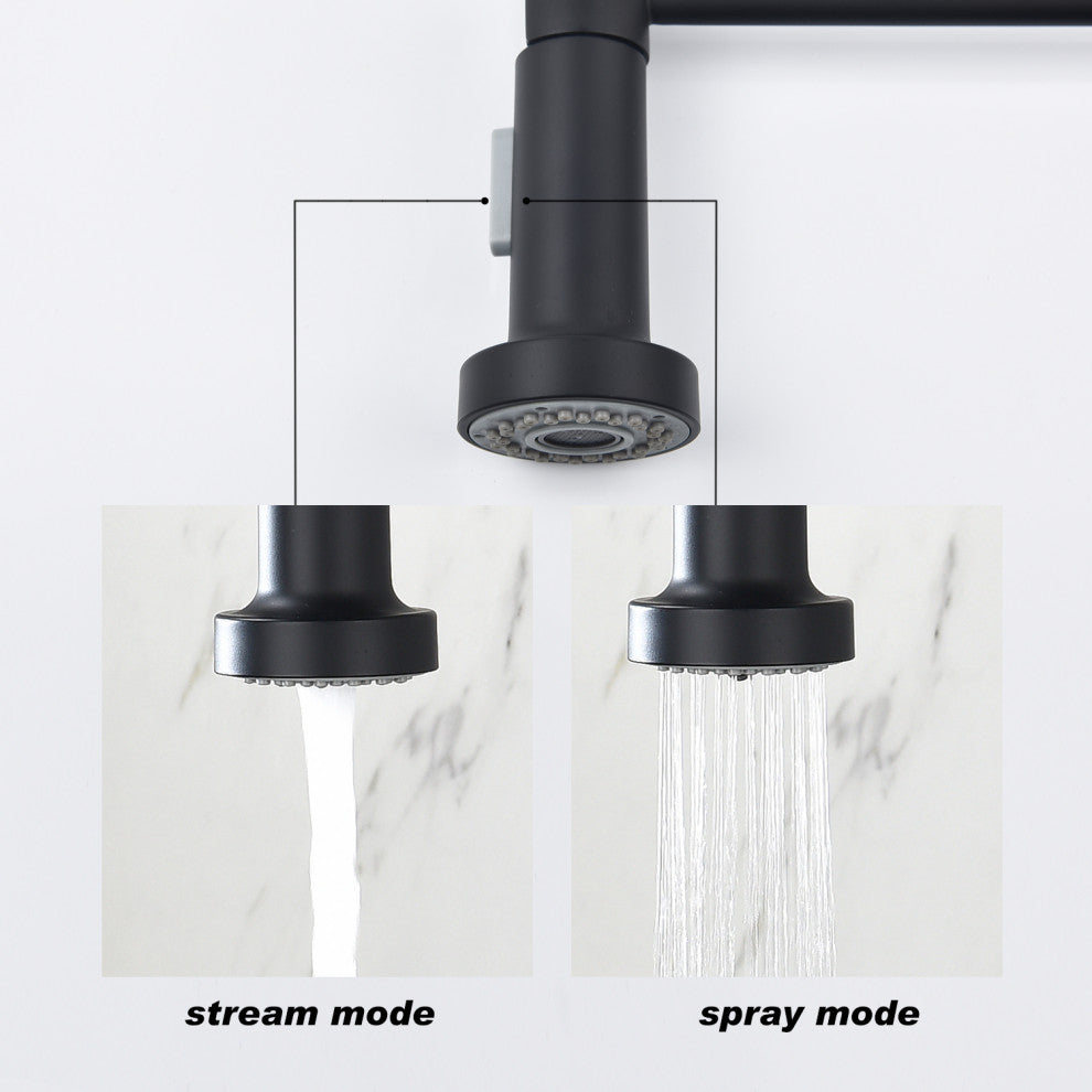 Wellfor Single Handle Kitchen Sink Faucet With Pull Down Sprayer
