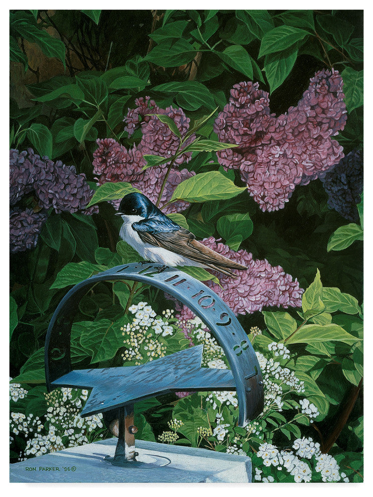 Ron Parker 'The Sundial' Canvas Art, 47"x35"