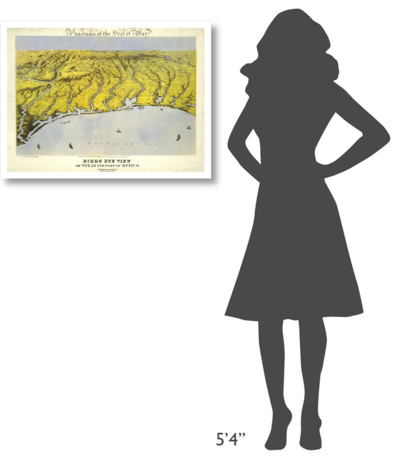 "Texas and Part of Mexico, 1861" Digital Paper Print by John Bachmann, 32"x24"