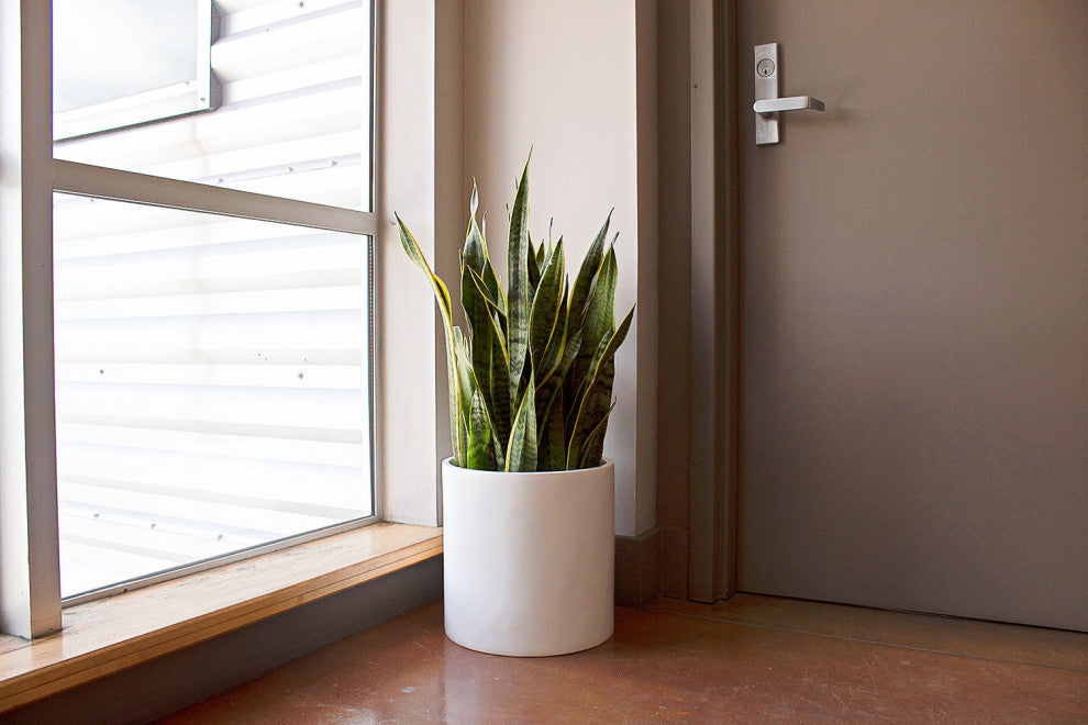 Root And Stock Brea Round Cylinder Planter, White, D:12" X H:12"