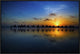 "Sunset Camel Ride" Framed Canvas Giclee by Louise Wolbers, 31x21"