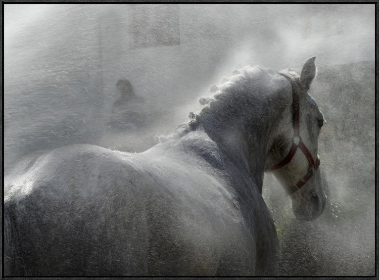 "Gramy" Framed Canvas Giclee by Milan Malovrh, 41x31"