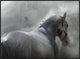 "Gramy" Framed Canvas Giclee by Milan Malovrh, 41x31"