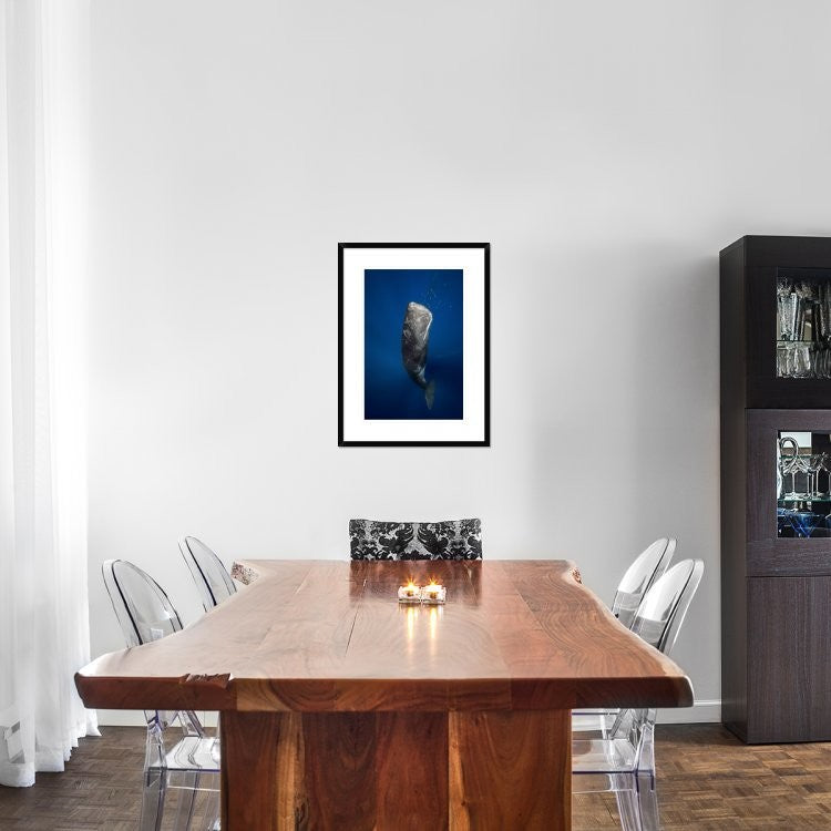 "Candle Sperm Whale" Framed Digital Print by Barathieu Gabriel, 22x30"