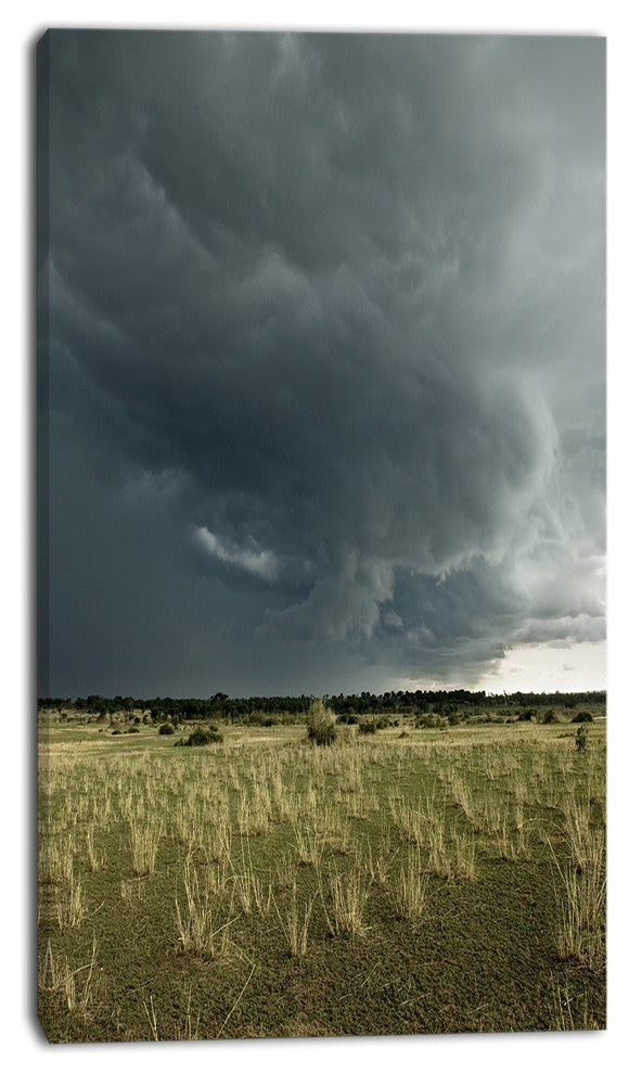 Rainy Cloud over Green Pasture, Oversized Landscape Canvas Art, 16"x32"
