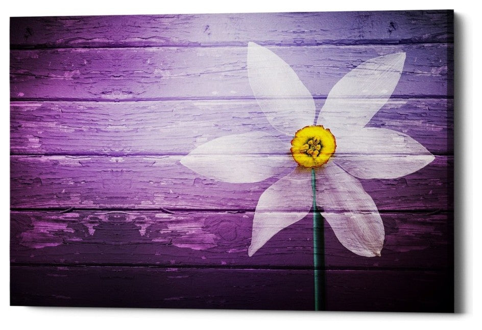 Epic Graffiti "Wood Series: A Simple Paradise" Giclee Canvas Wall Art, 26"x40"