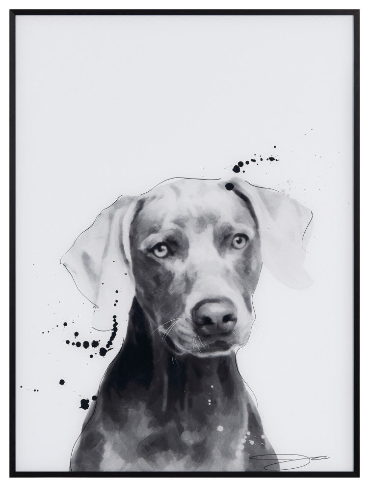 "Weimaraner" Black and White Pet Art on Printed Glass with Anodized Frame