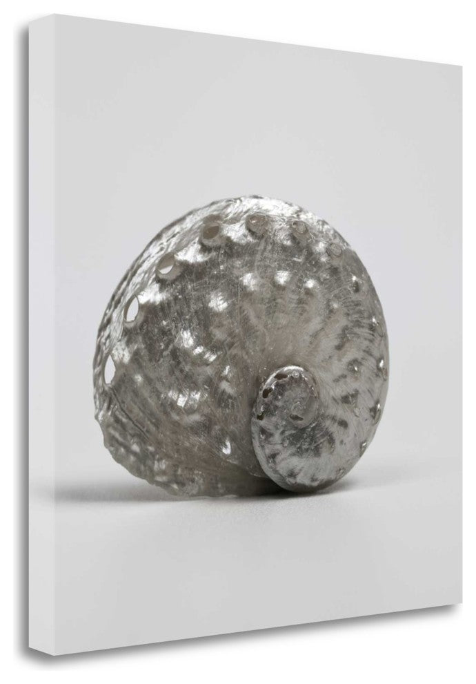 "Beachside Treasure IV" By Assaf Frank, Giclee Print on Gallery Wrap Canvas