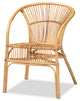 Colleen Natural Brown Rattan Dining Chair