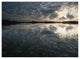 "American Alligator in 9-mile Pond, Everglades National Park" Paper Art, 50"x38"