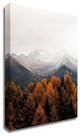 Bishop 17 by Design Fabrikken, Print on Canvas, 25"x35"