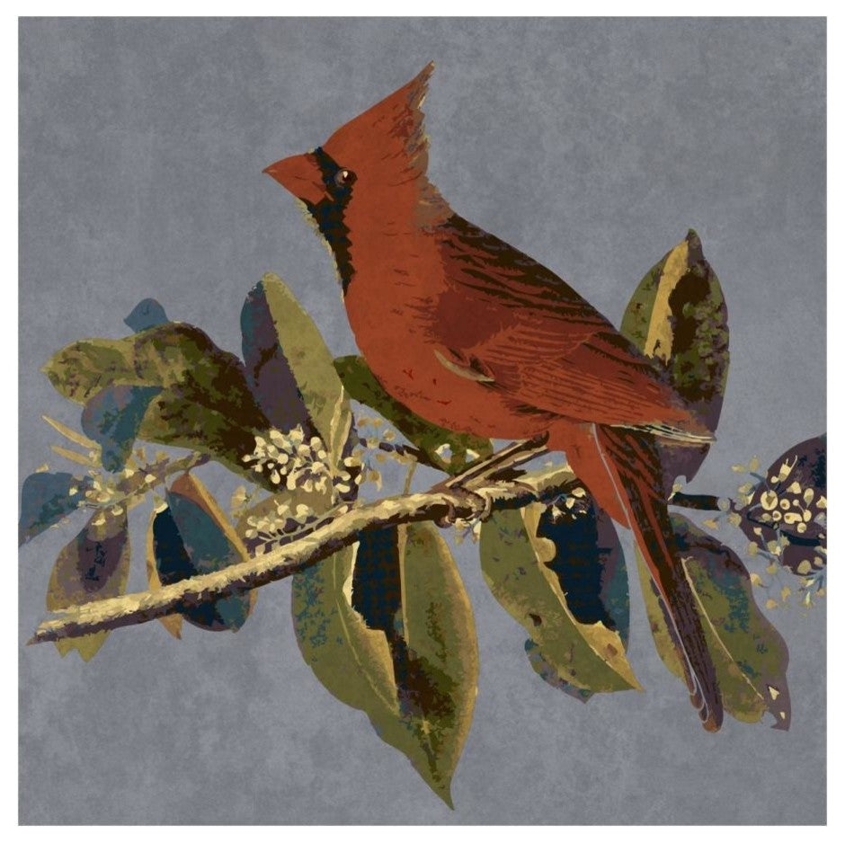 "Audubon Decor - Male Cardinal Grosbeak Detail" Print by BG.Studio, 20"x20"