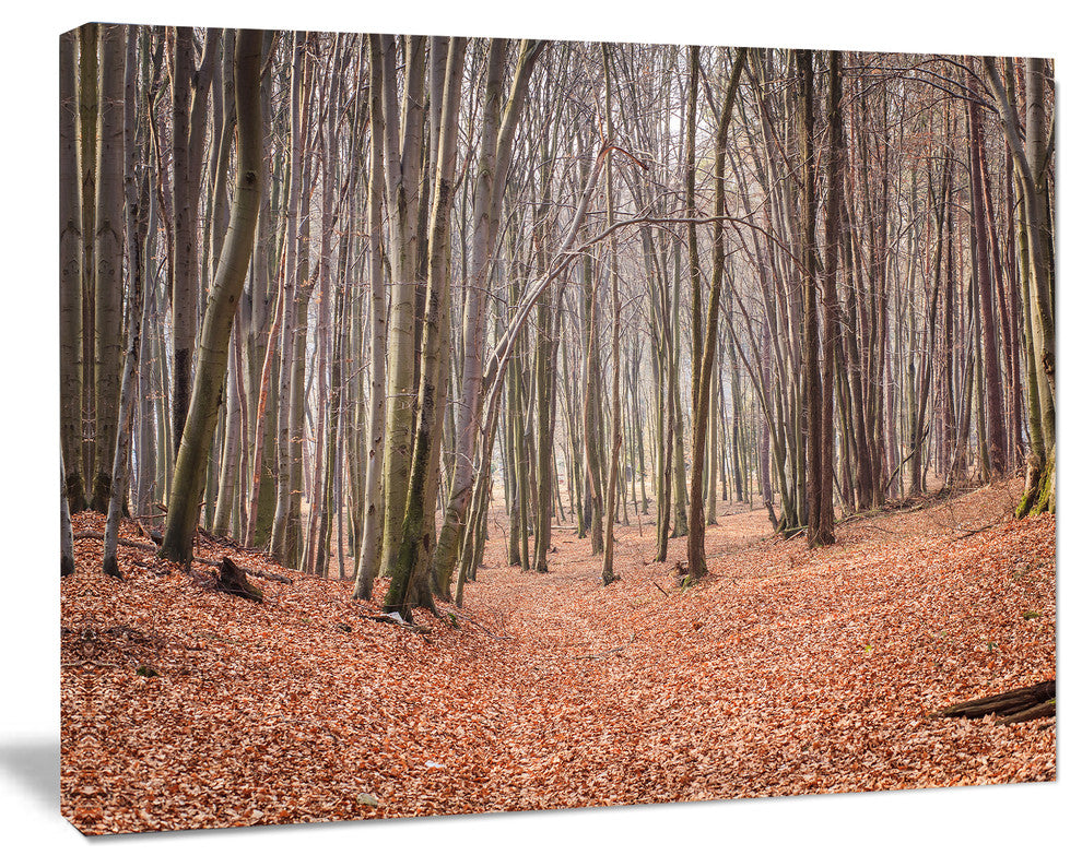 Leaves in the Thick Fall Forest, Forest Canvas Art Print, 20"x12"