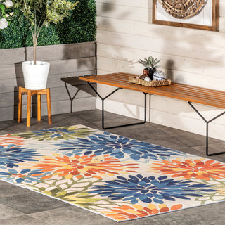 Nuloom Rosana Floral Machine Washable Indoor/Outdoor Area Rug, Multicolor 3'x5'