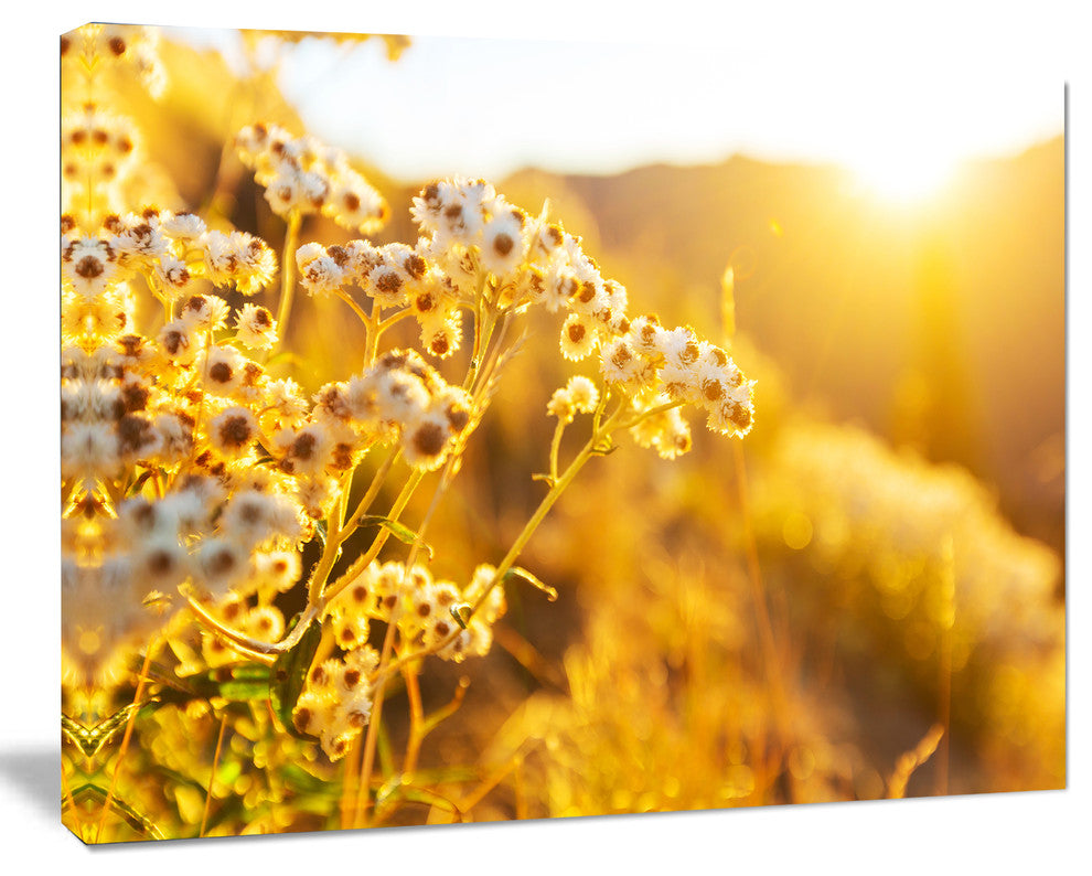 Bright Yellow Rural Garden Flowers, Floral Canvas Art Print, 20"x12"