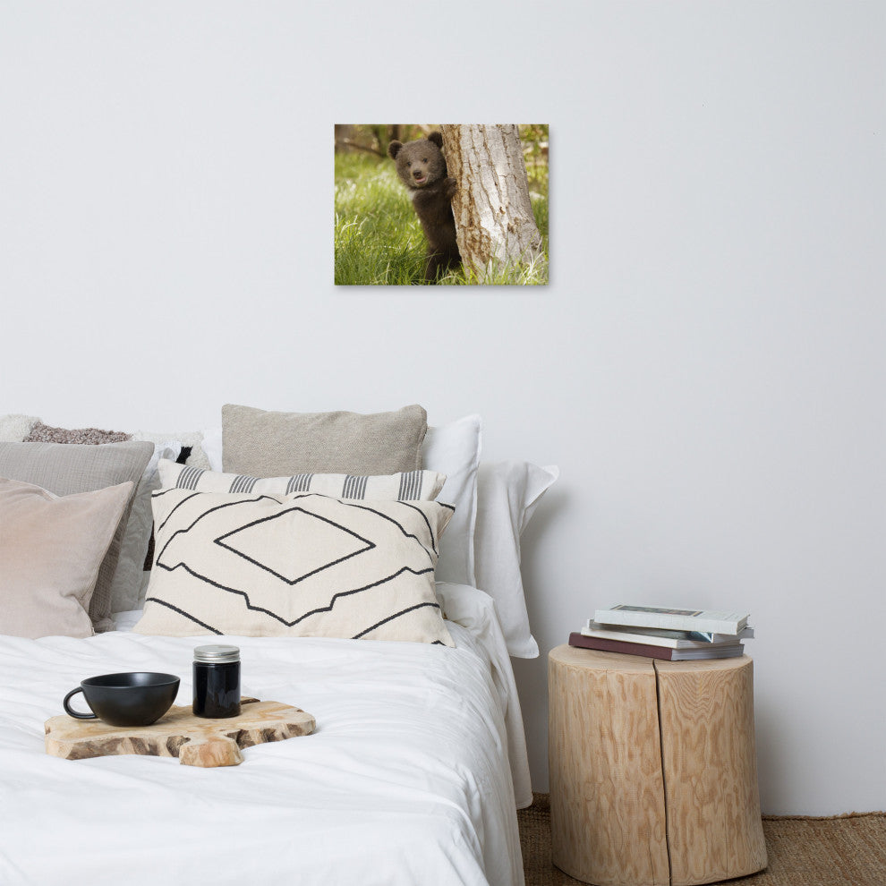 Baby Grizzly Bear Cub Behind Tree In Meadow Wildlife Photo Canvas Wall Art Print, 18" X 24"