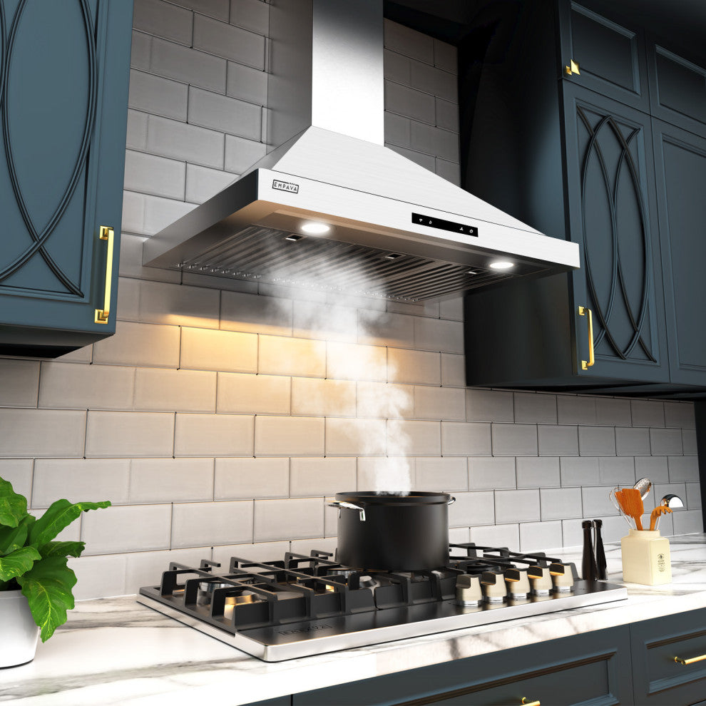 Empava 30" 380 CFM Wall Mount Range Hood With Ducted Exhaust Vent
