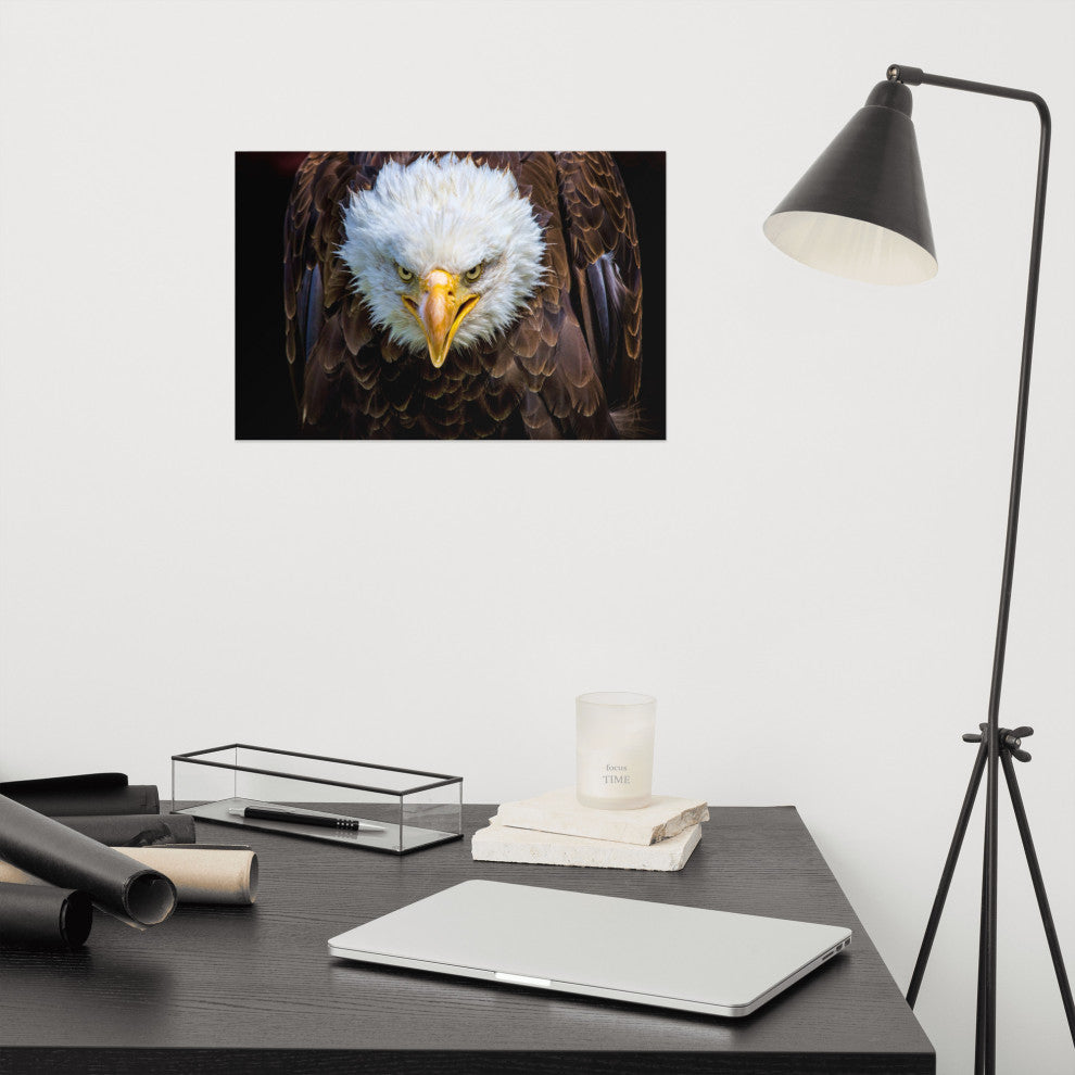 Bald Eagle Portrait Close-up Loose Wall Art Print, 12" X 18"