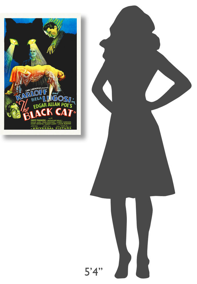 "The Black Cat" Stretched Canvas Giclee by Hollywood Photo Archive, 20x30"
