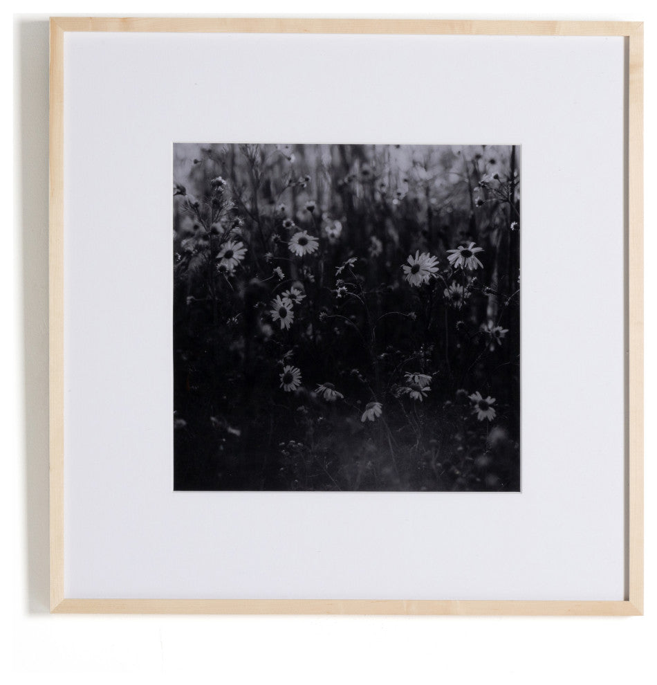 Floral Film Ii By Annie Spratt
