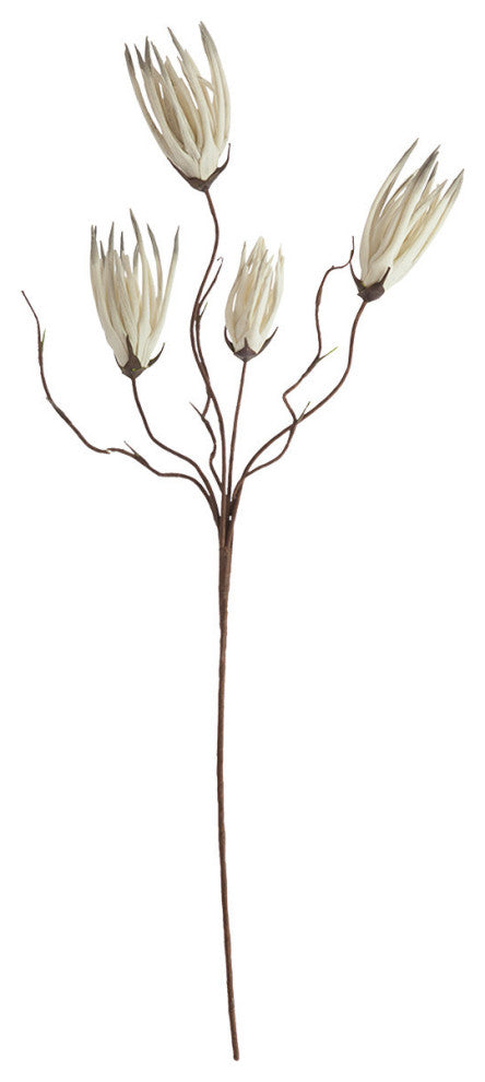 Botanica #502