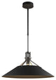 Henry Outdoor Pendant - Coastal Black Finish
