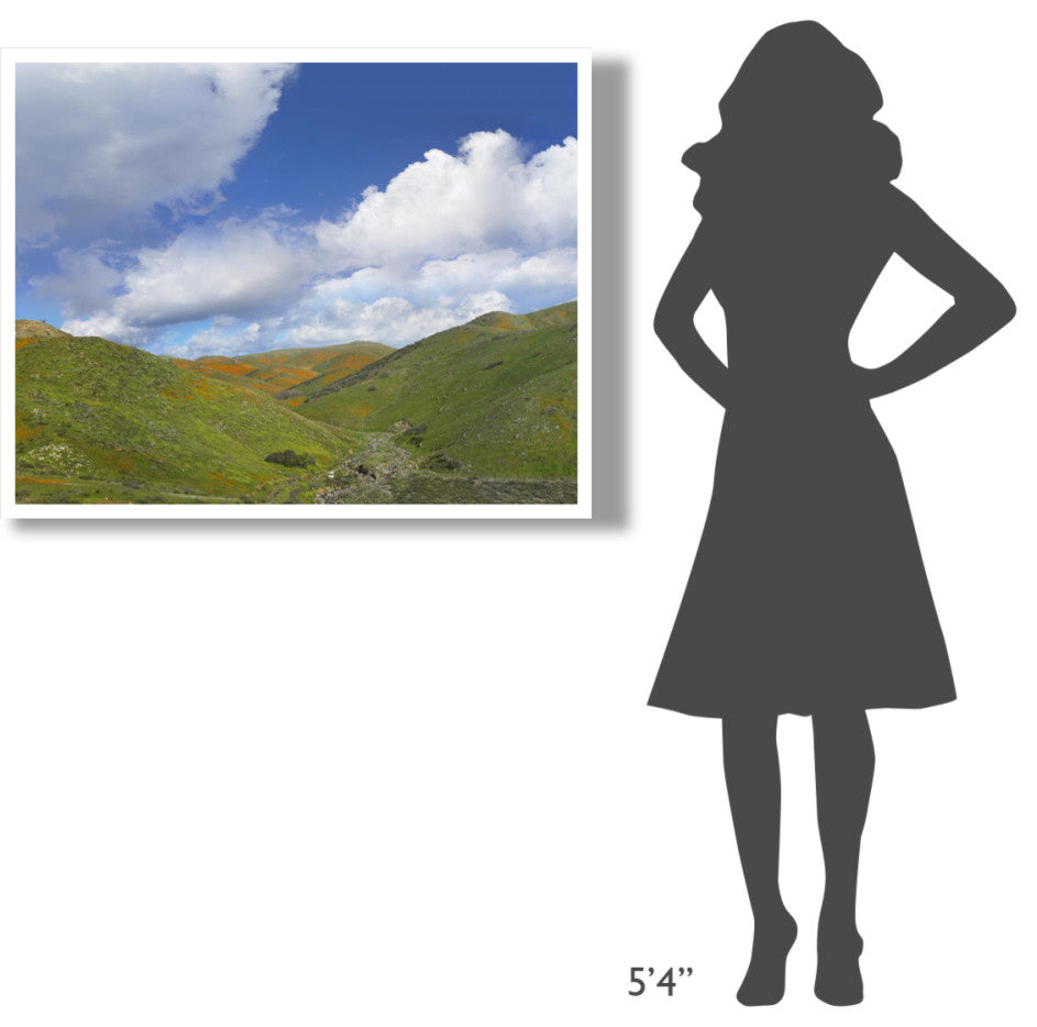 "Temescal Hills, southern California" Paper Print by Tim Fitzharris, 42"x32"