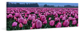 "Tulips Galore" Painting Print on Canvas
