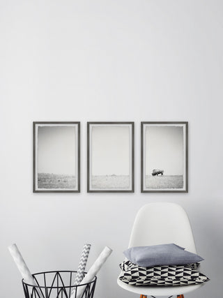 A Lone Bison Triptych, Set of 3, 12x18 Panels