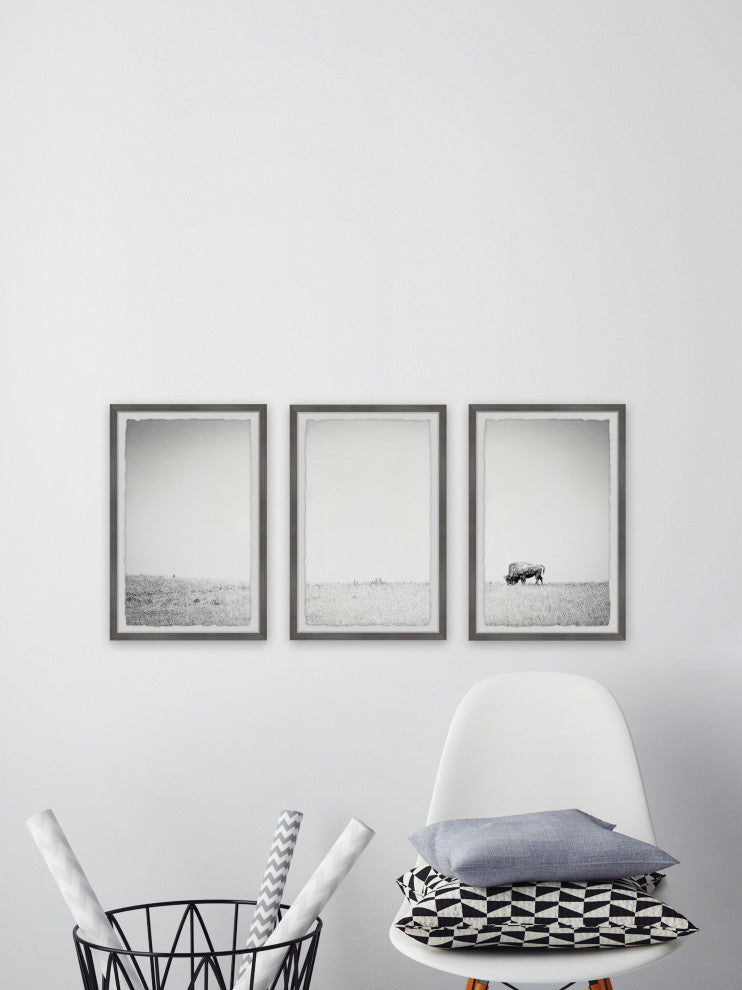 A Lone Bison Triptych, Set of 3, 12x18 Panels