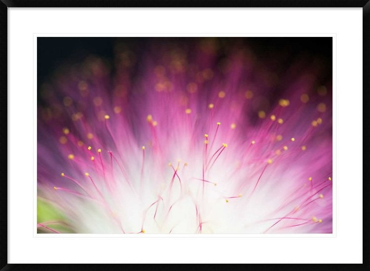 "Elfin" Framed Digital Print by Art Lionse, 38"x28"
