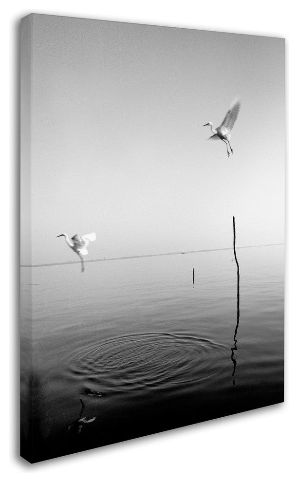 "Flying" Canvas Art by Moises Levy