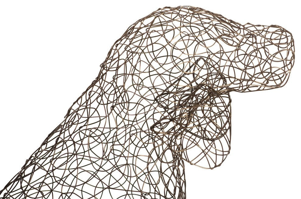 Crazy Wire Beagle, Medium
