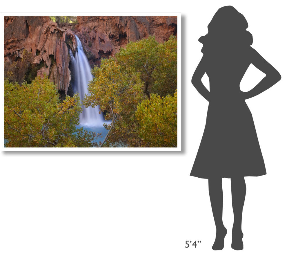 "Havasu Falls, Grand Canyon, Arizona" Paper Print by Tim Fitzharris, 50"x38"