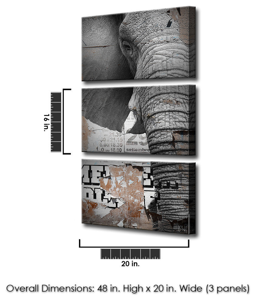 Saddle Ink Elephant VIII 3-Panels