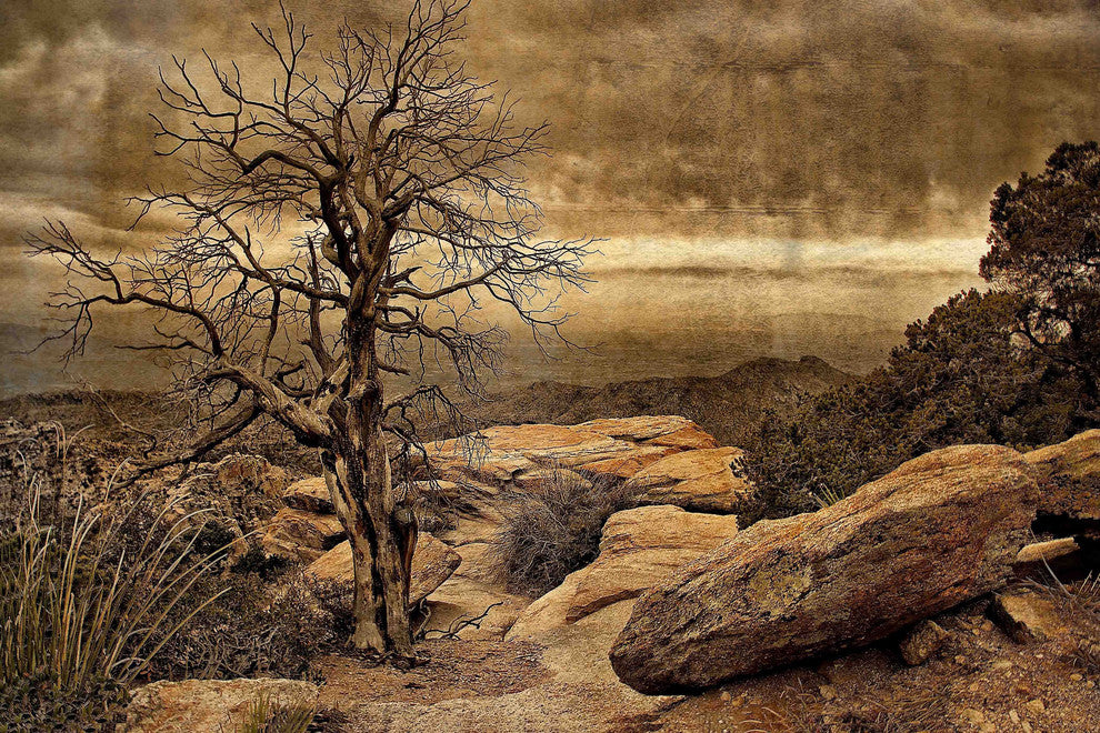 "Crags and Crooks I" Painting Print on Canvas by Robertson