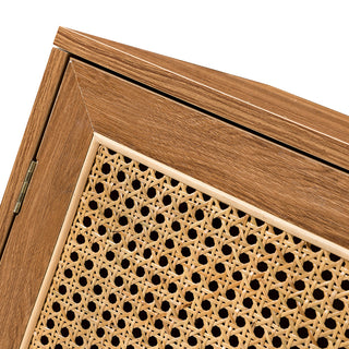 Alternate white background close-up: hinge and cane frame area.