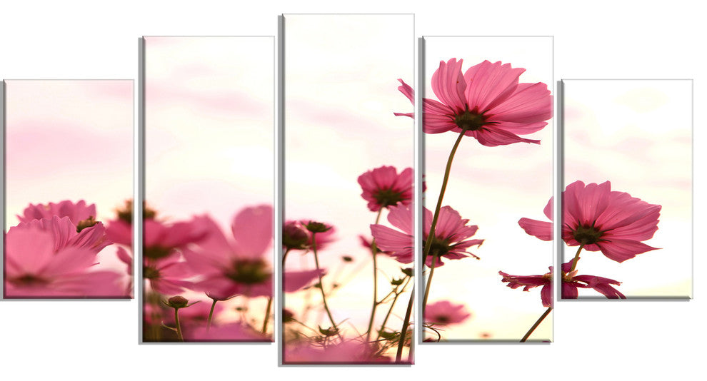 Cosmos Flowers Meadow At Sunset, Floral Canvas Art Print, 60"x32", 5 Panels