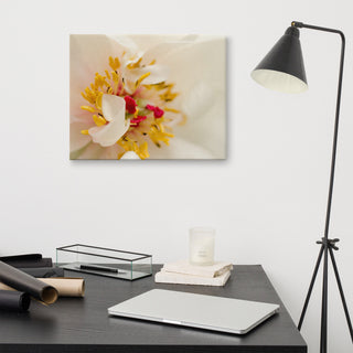 Eye of Peony Floral Nature Photography Canvas Wall Art Print, 16" X 20"