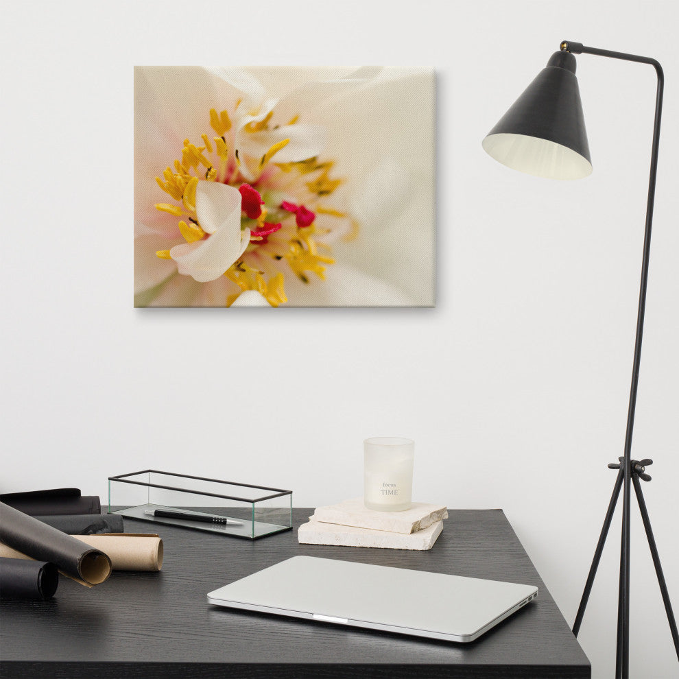 Eye of Peony Floral Nature Photography Canvas Wall Art Print, 16" X 20"