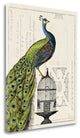 "Peacock Birdcage I" By Sue Schlabach, Giclee Print on Gallery Wrap Canvas