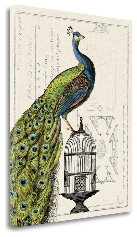 "Peacock Birdcage I" By Sue Schlabach, Giclee Print on Gallery Wrap Canvas